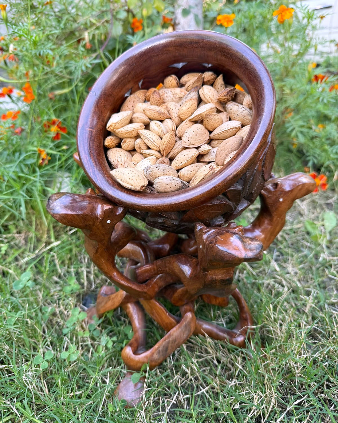 Kagzi Badam (Almonds With Shell)
