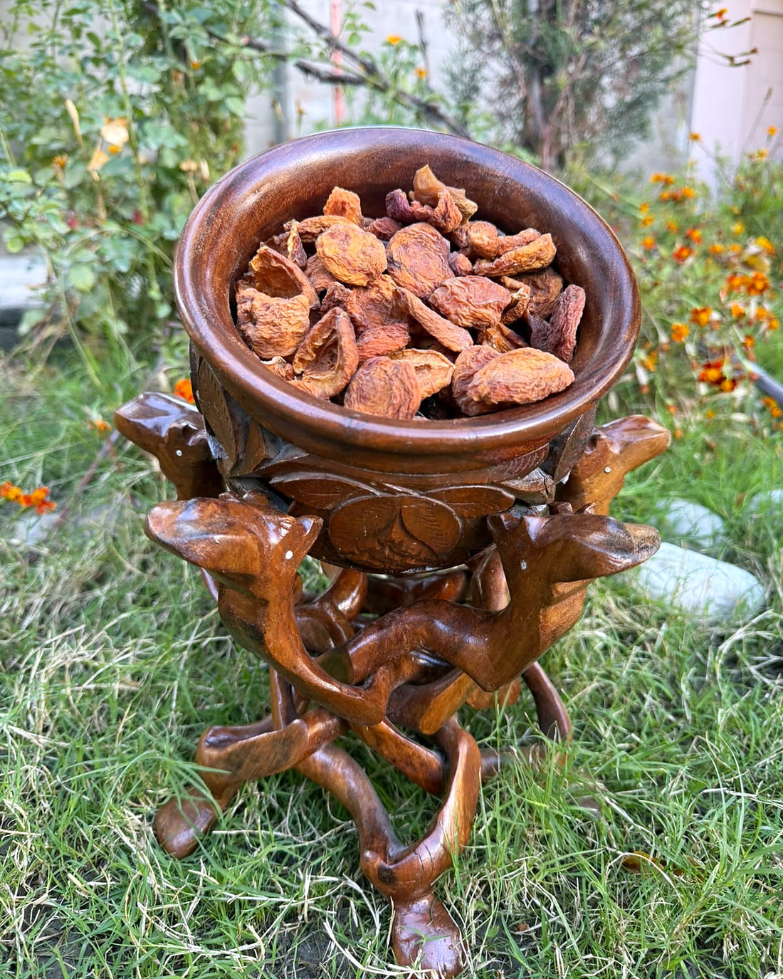 Premium Half Cut Dried Apricots