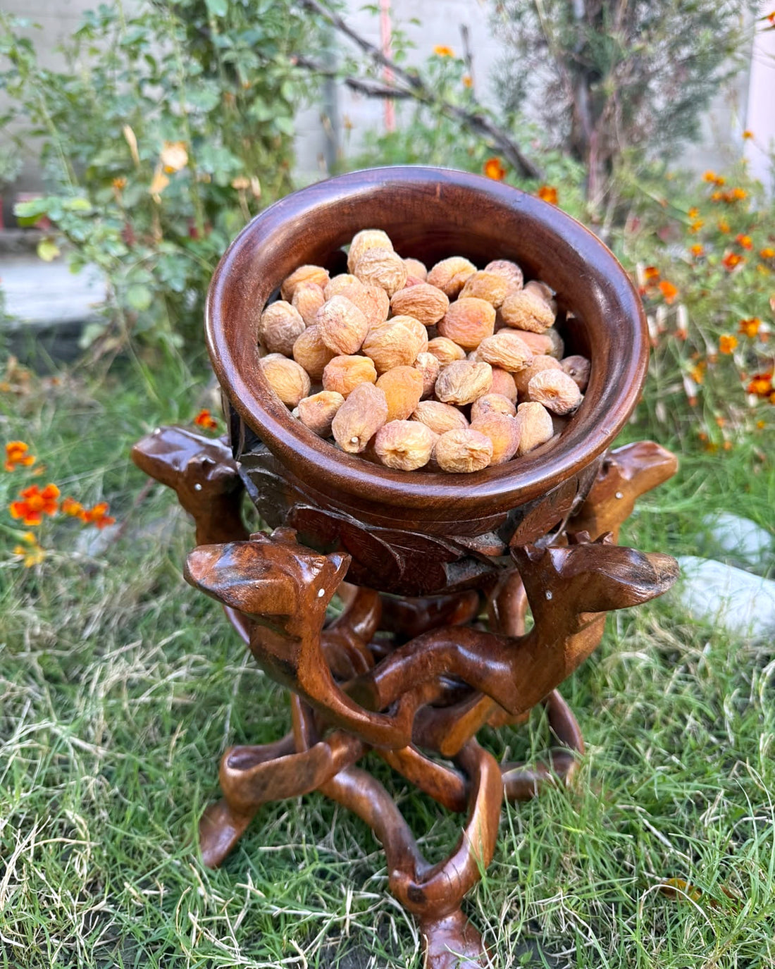 Whole Dry Apricot