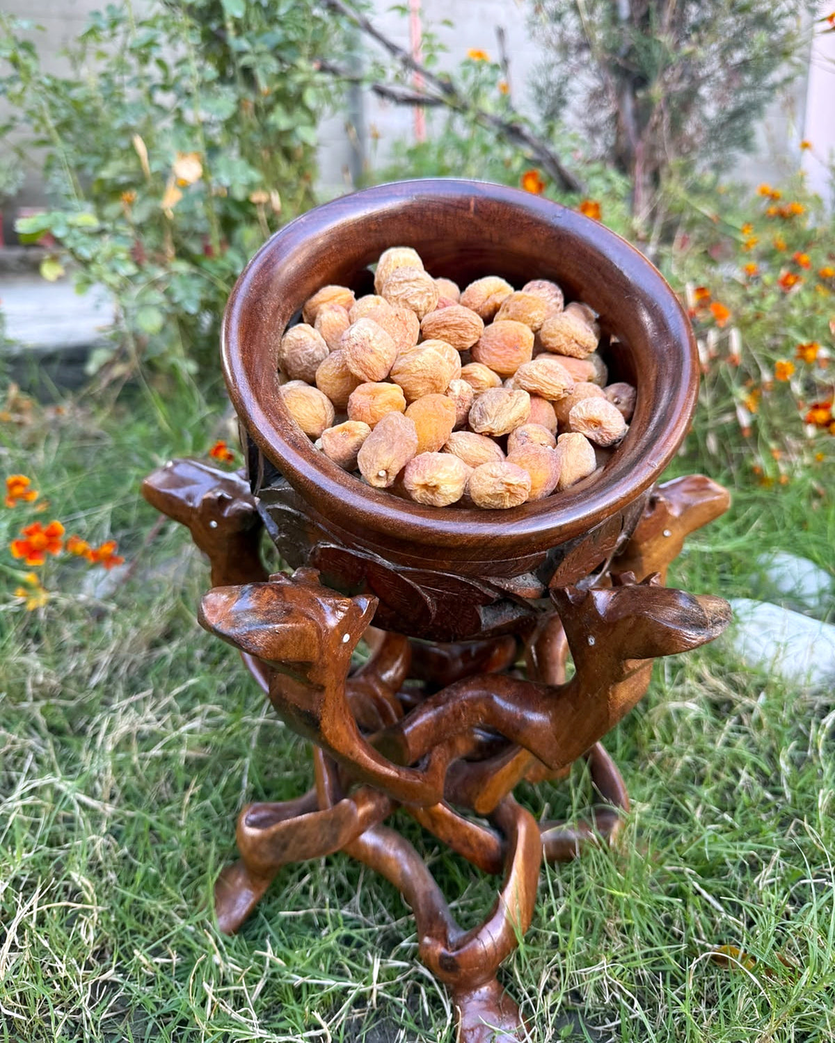 Whole Dry Apricot