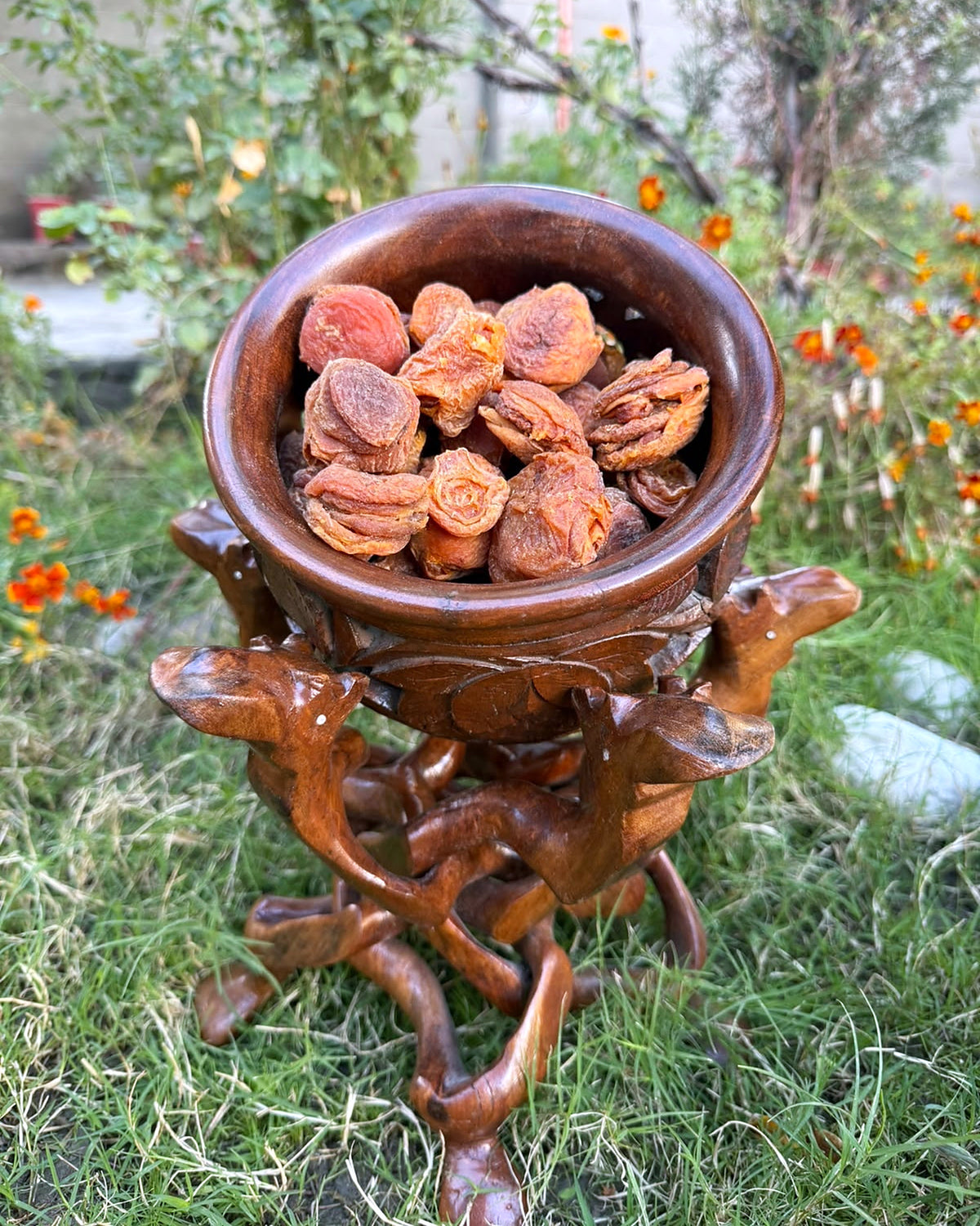 Premium Multi-Layer Dried Apricot (Khubani) with Giri